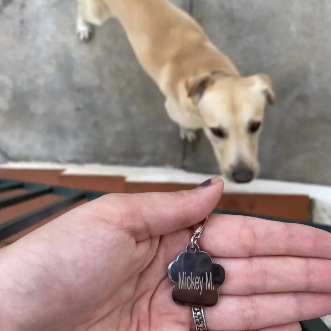 Customisable Pet Tag