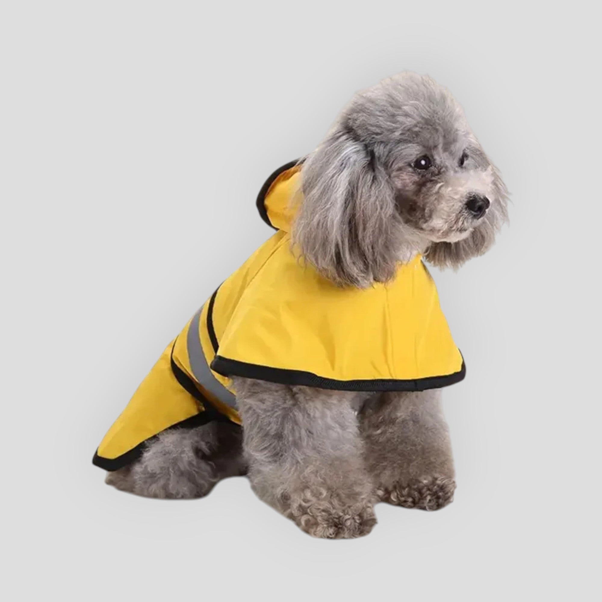 Waterproof Dog Jacket