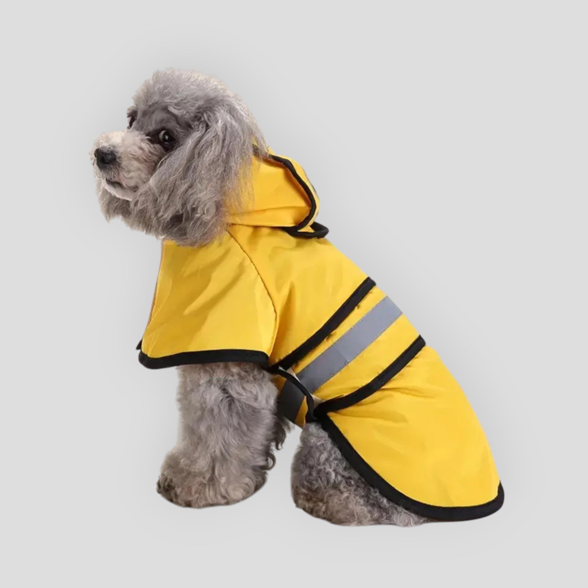 Waterproof Dog Jacket